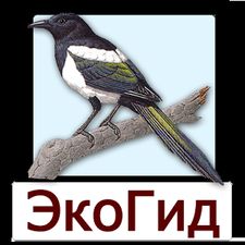 Скачать ЭкоГид: Птицы России и Голоса (Полная версия) на Андроид