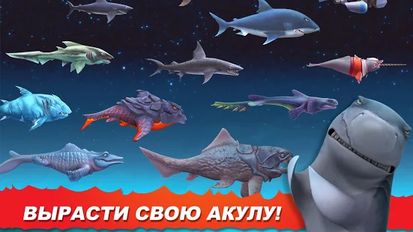 Взлом Hungry Shark Evolution (Много монет) на Андроид