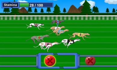 Взлом Greyhound Racer (Все открыто) на Андроид