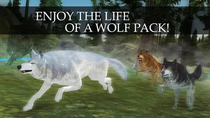Взлом Wild Wolf Quest Online (Много денег) на Андроид