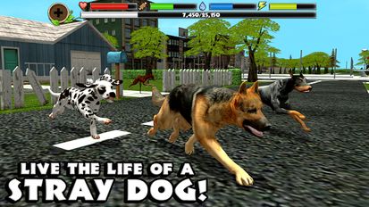  Stray Dog Simulator ( )  
