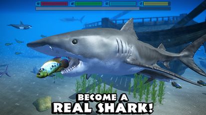 Взлом Ultimate Shark Simulator (Все открыто) на Андроид