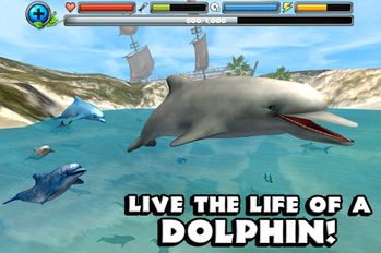 Взлом Dolphin Simulator (Все открыто) на Андроид