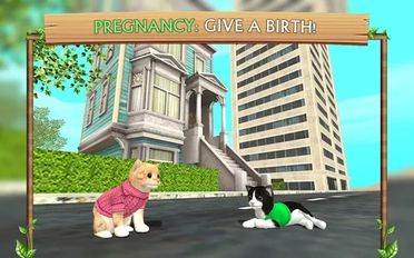  Cat Sim Online: Play with Cats ( )  