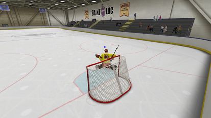  Virtual Goaltender ( )  