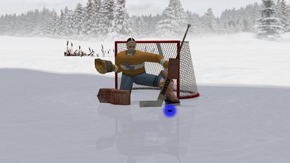  Virtual Goaltender ( )  