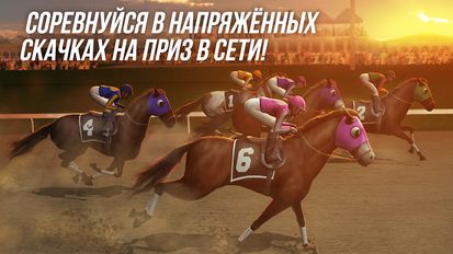  Photo Finish Horse Racing ( )  