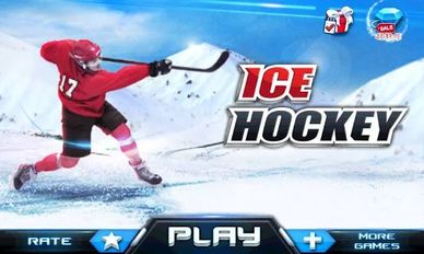     3D - IceHockey ( )  