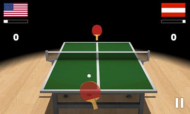  Virtual Table Tennis 3D ( )  