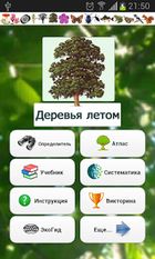 Скачать ЭкоГид: Деревья летом (Полная версия) на Андроид