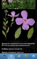 Скачать ЭкоГид: Цветы (На русском) на Андроид