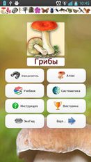 Скачать ЭкоГид: Грибы (На русском) на Андроид