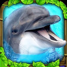  Dolphin Simulator ( )  