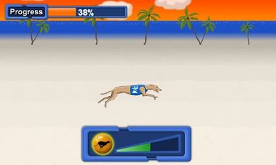  Greyhound Racer ( )  