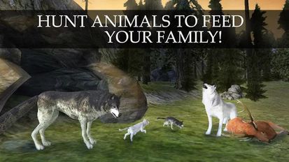  Wild Wolf Quest Online ( )  