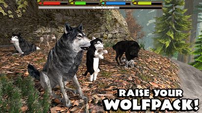  Ultimate Wolf Simulator ( )  