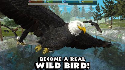  Ultimate Bird Simulator ( )  