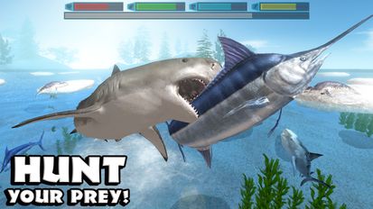  Ultimate Shark Simulator ( )  
