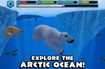  Polar Bear Simulator ( )  